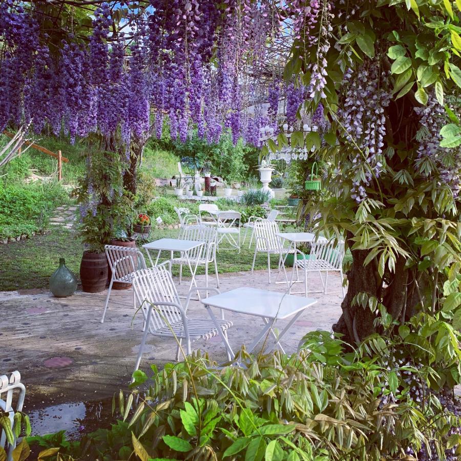 Bed and Breakfast R&B Mulino Marsa à CastellʼArquato Extérieur photo